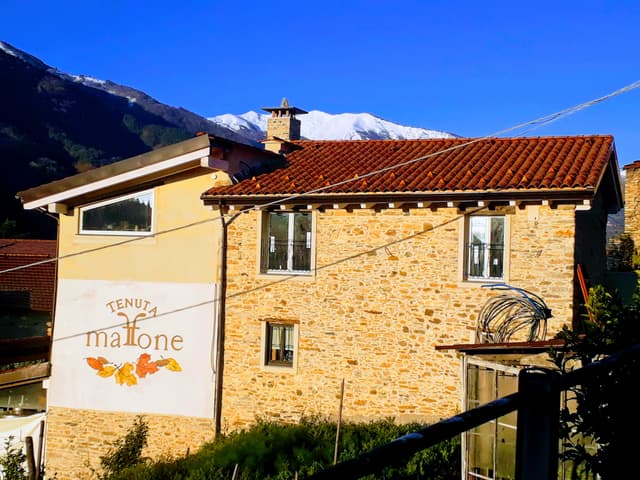 Tenuta Maffone Winery