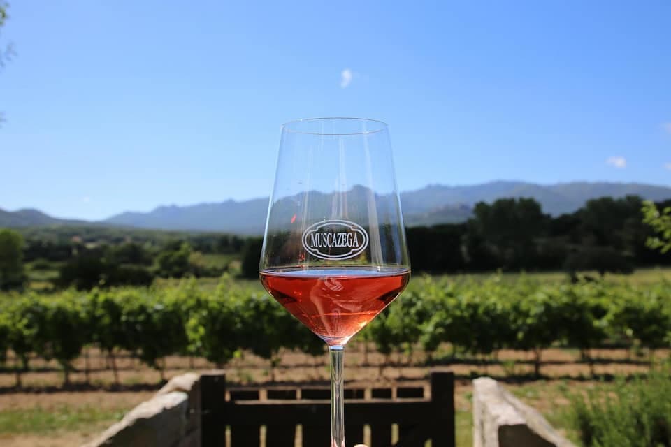Tenuta Muscazega: A Historic Winery in Gallura