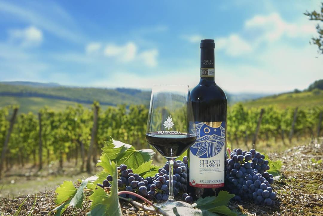 Vallepicciola-wine J4s9g8-1200x801