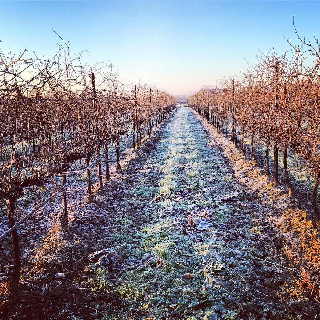 Degustação de vinhos e tour em Vigneti Zanatta