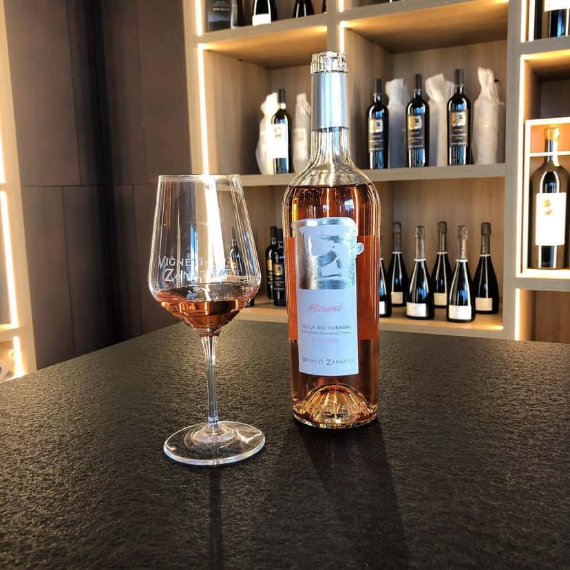 Wine Tasting and Tour at Vigneti Zanatta