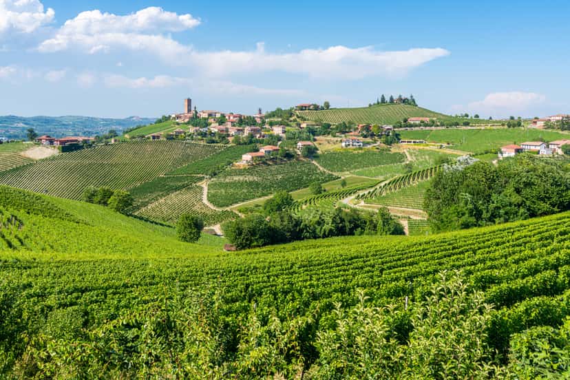 Monferrato appellation