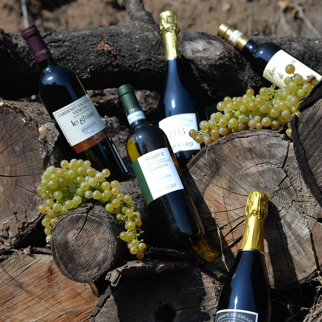 Cata de vinos y visita guiada en Vini Casarotto