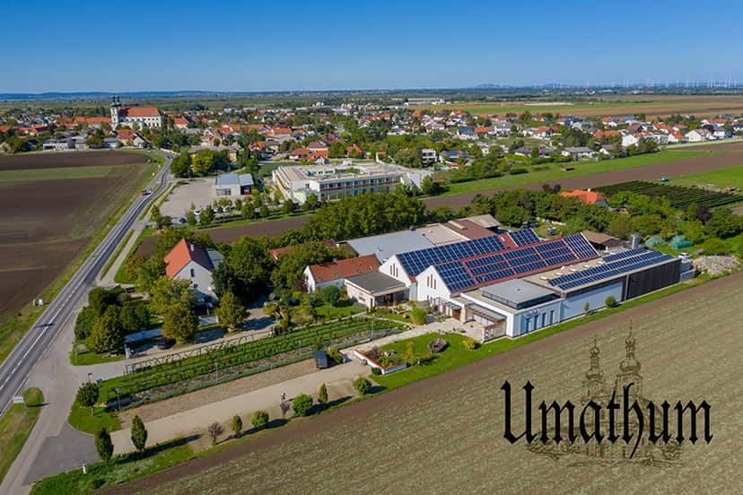 Burgenland Vineyard & Cellar Journey at Umathum