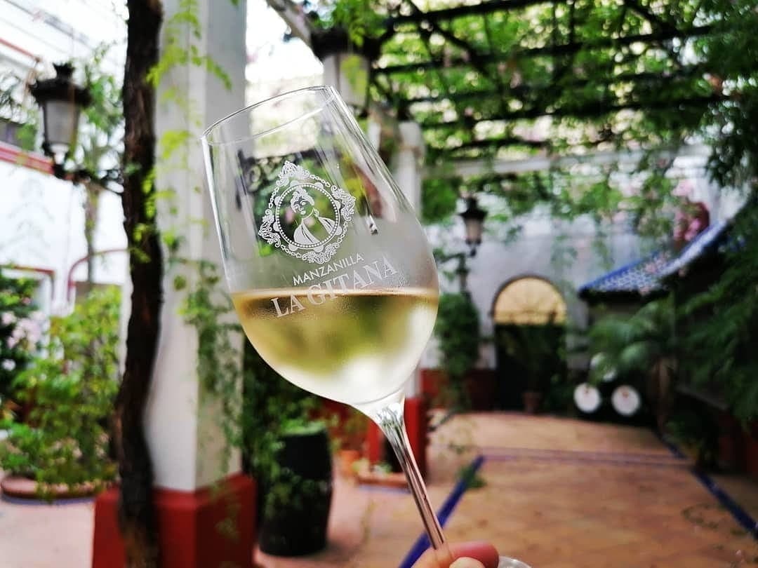 Weinprobe und Führung bei Bodegas Hidalgo La Gitana
