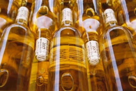 Degustação de vinhos e tour no Chateau Caillou