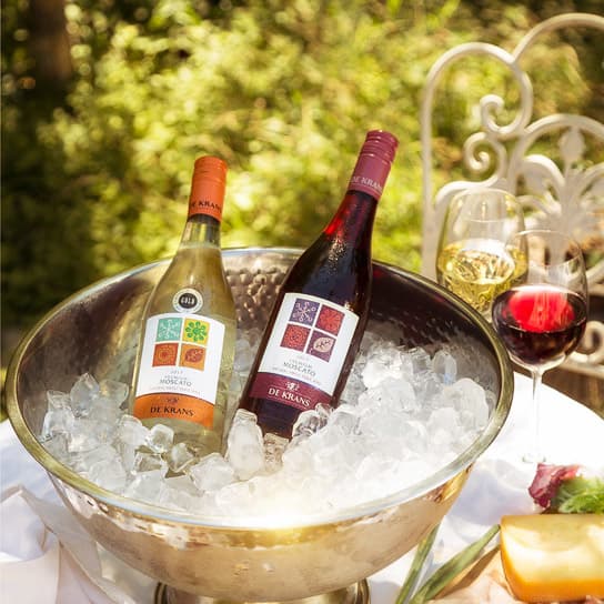 Cata de vinos premium en De Krans Wines