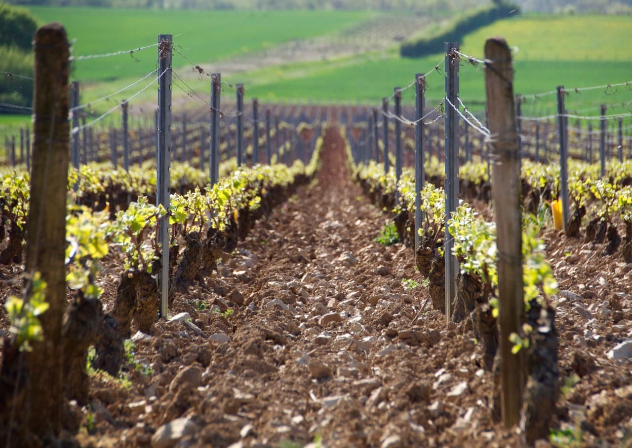 Domaine Charton