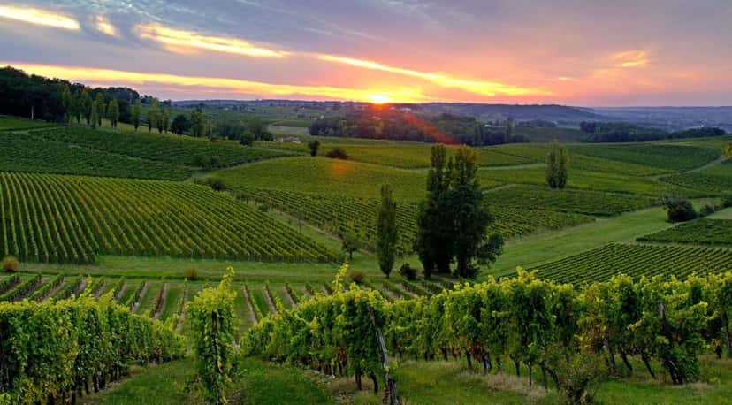 Domaine De Combet