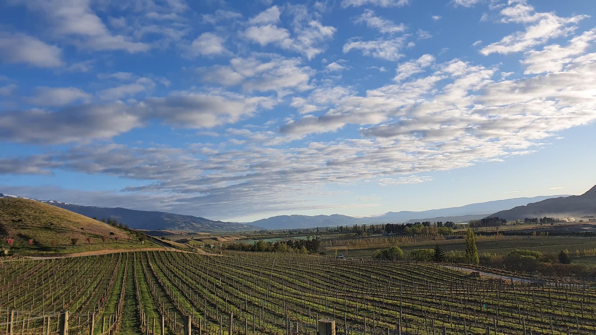 Domaine Thomson Wines