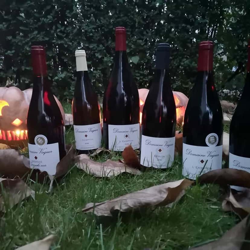 Domaine Vaquer Winery