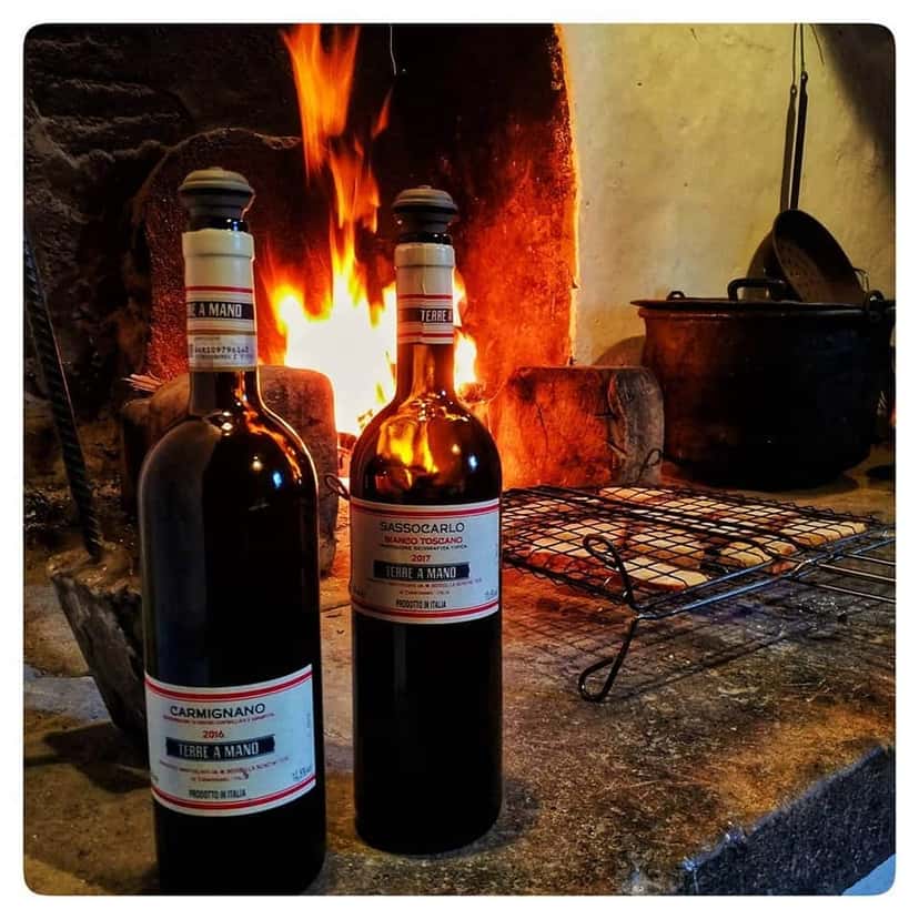 Cata de vinos y visita guiada a Fattoria Di Bacchereto