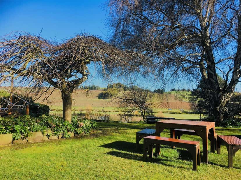Josef Chromy Wines