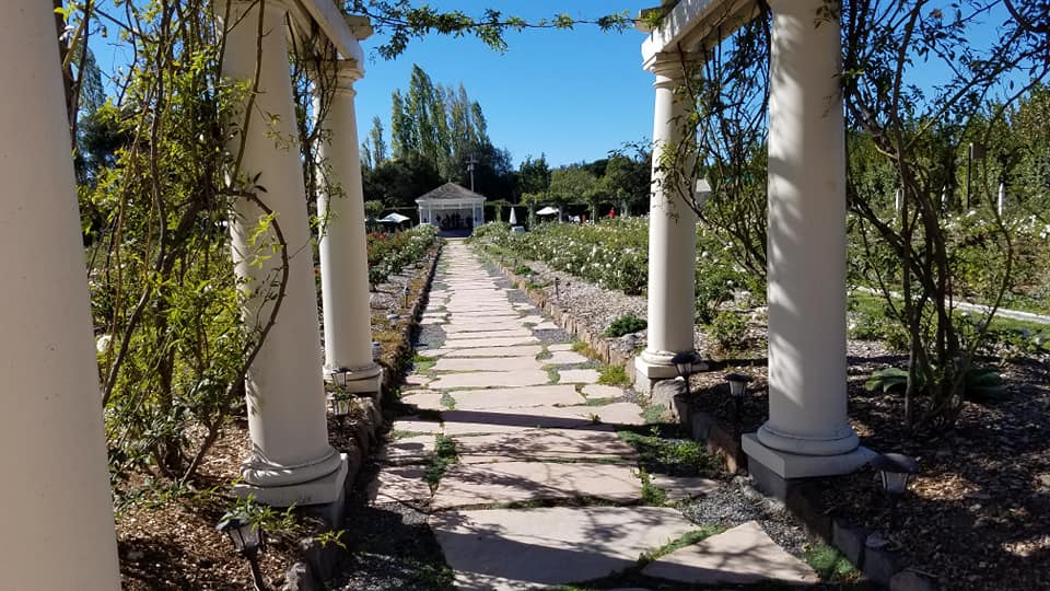 Karah Estate Vineyard foto 3