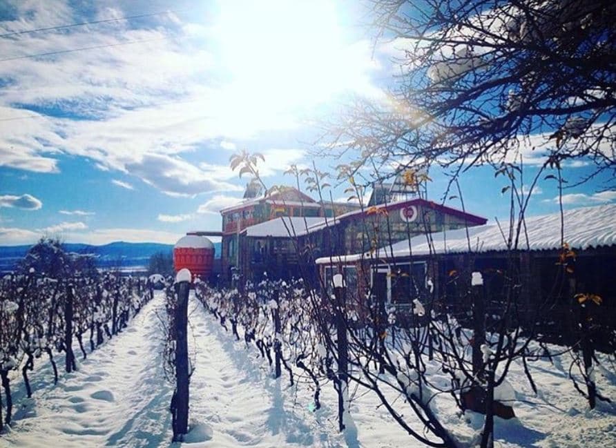 Twins Wine House in Napareuli