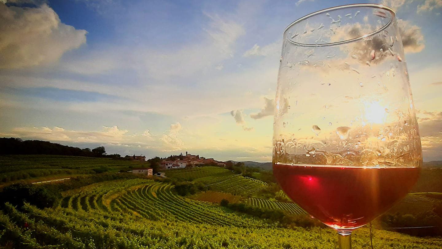 UOU Konzorcij Zapuščenih Vinogradov