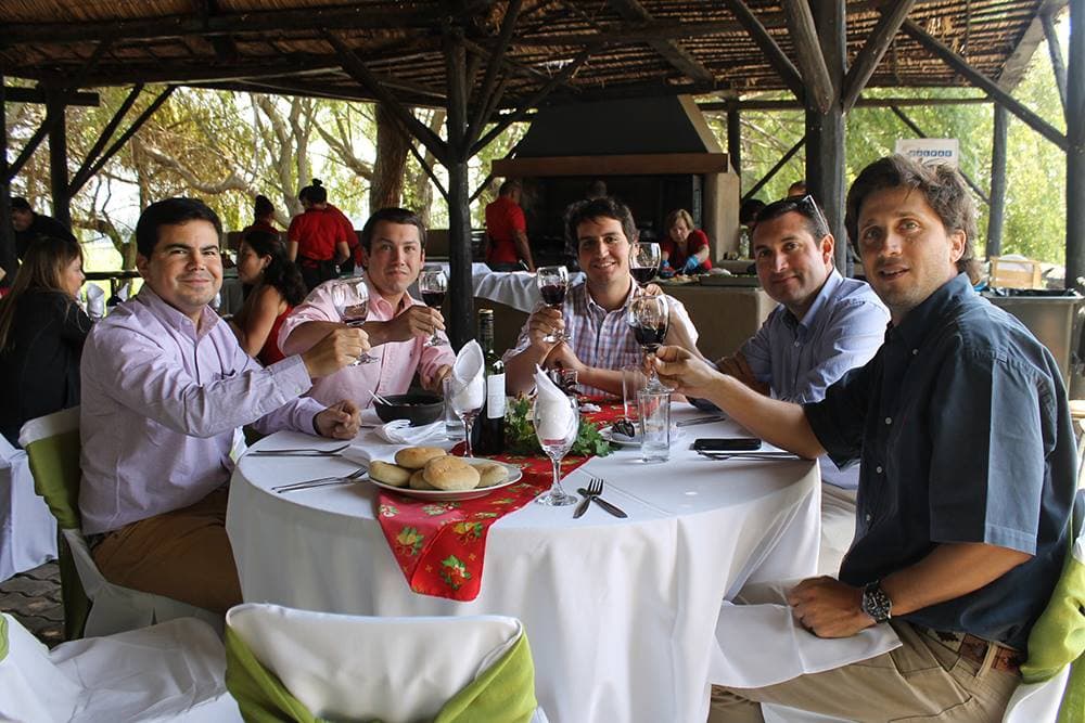 Viña Los Boldos Winery