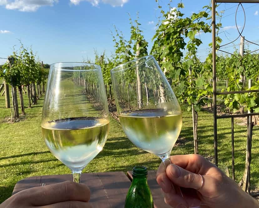 Degustazione di vini e visita alla Weingut Alois Höllerer