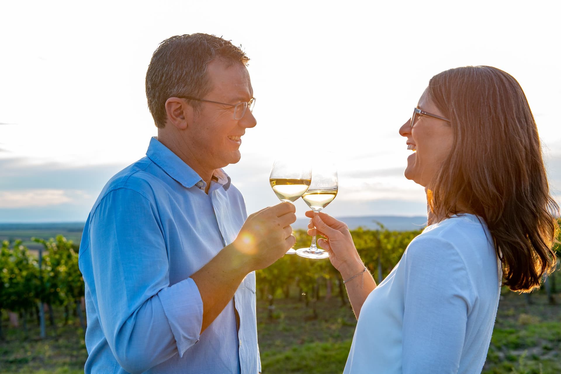Degustação de vinhos e passeio em Weingut Hebenstreit