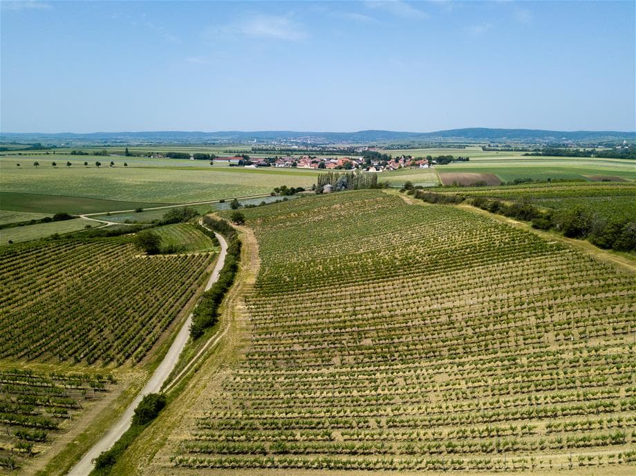 Weingut Hebenstreit