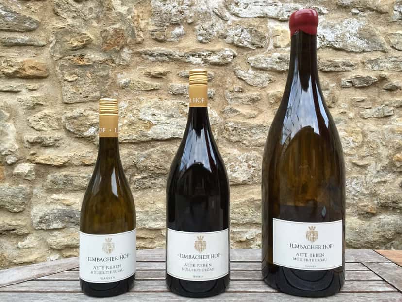 Cata de vinos y visita guiada en Weingut Ilmbacher Hof