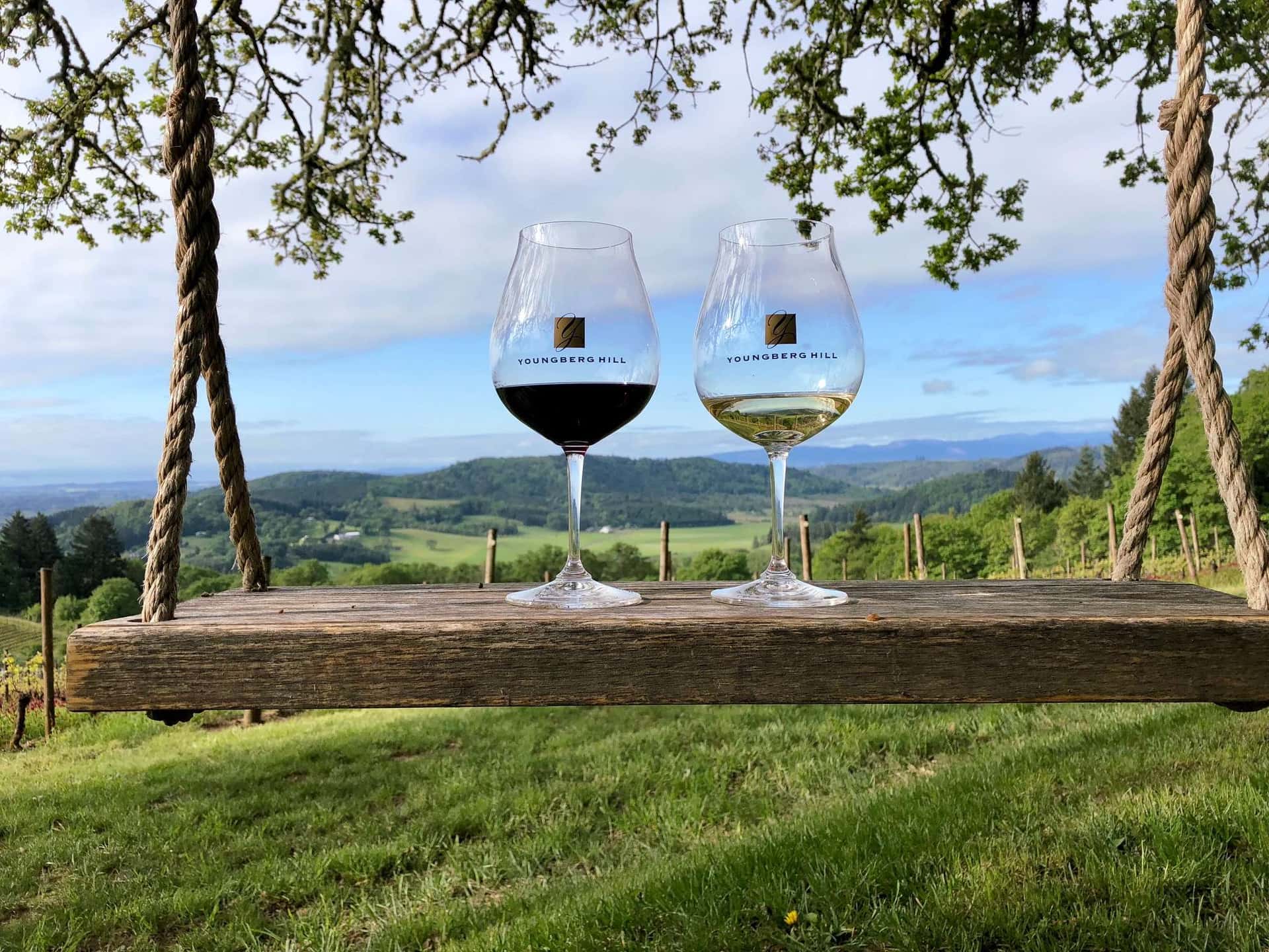 Degustação de vinhos populares e passeio em Youngberg Hill