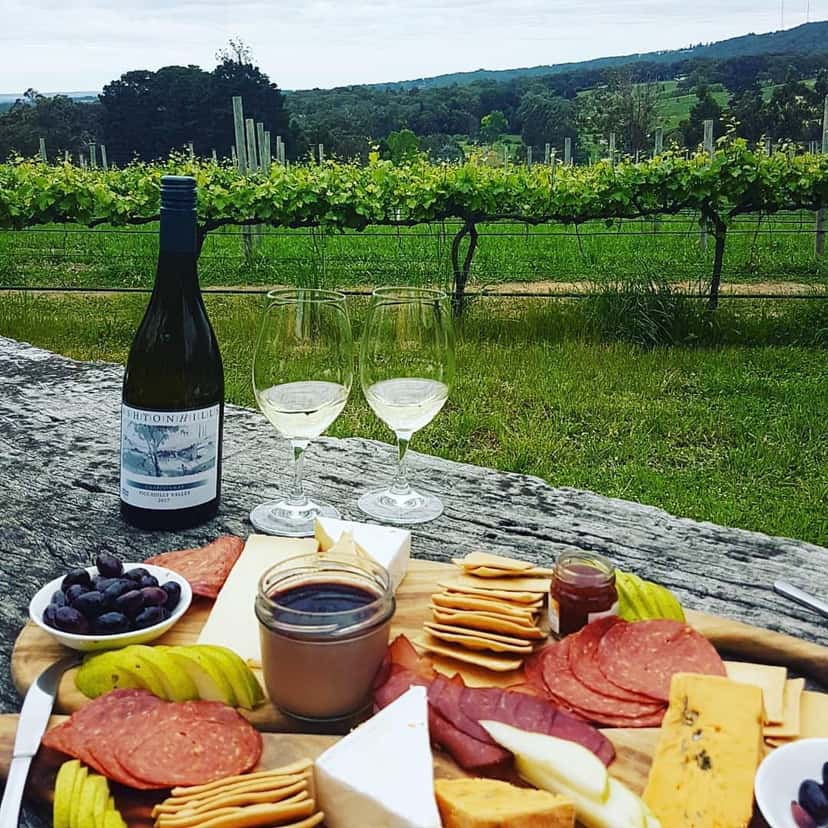 South Australia Group Wine Tasting at Ashton Hills