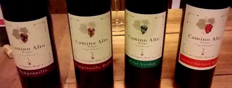 Weinprobe und Tour bei Bodegas Camino Alto