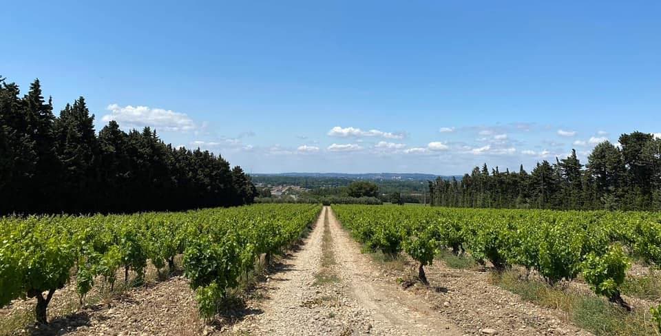 Domaine Des Pentelines foto 2