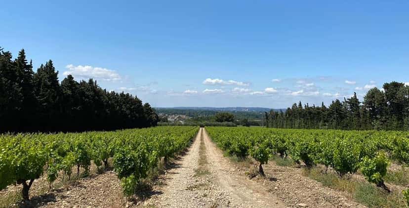 Domaine Des Pentelines