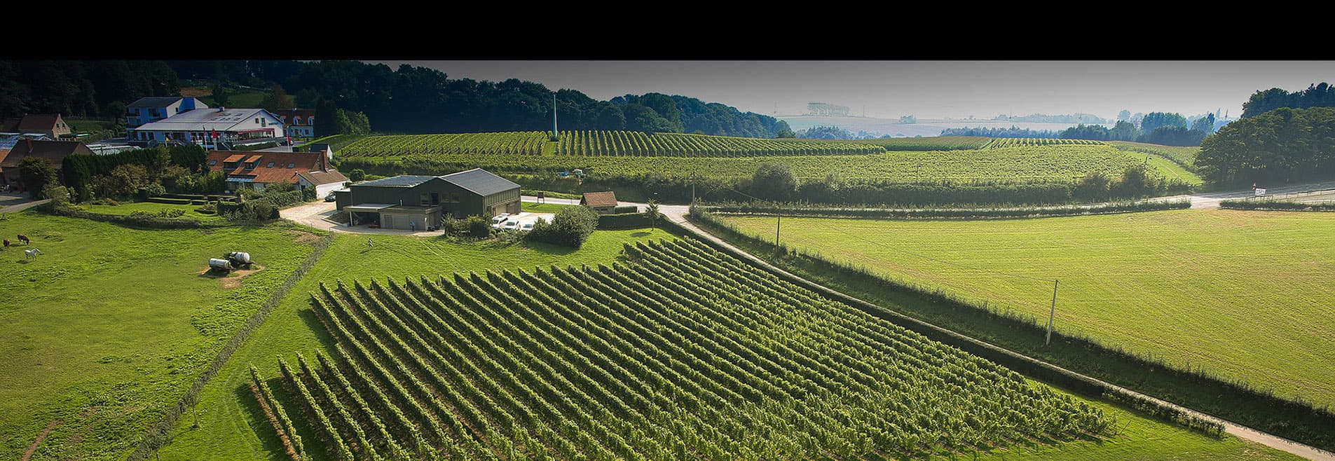 Entre-Deux-Monts Winery photo 1