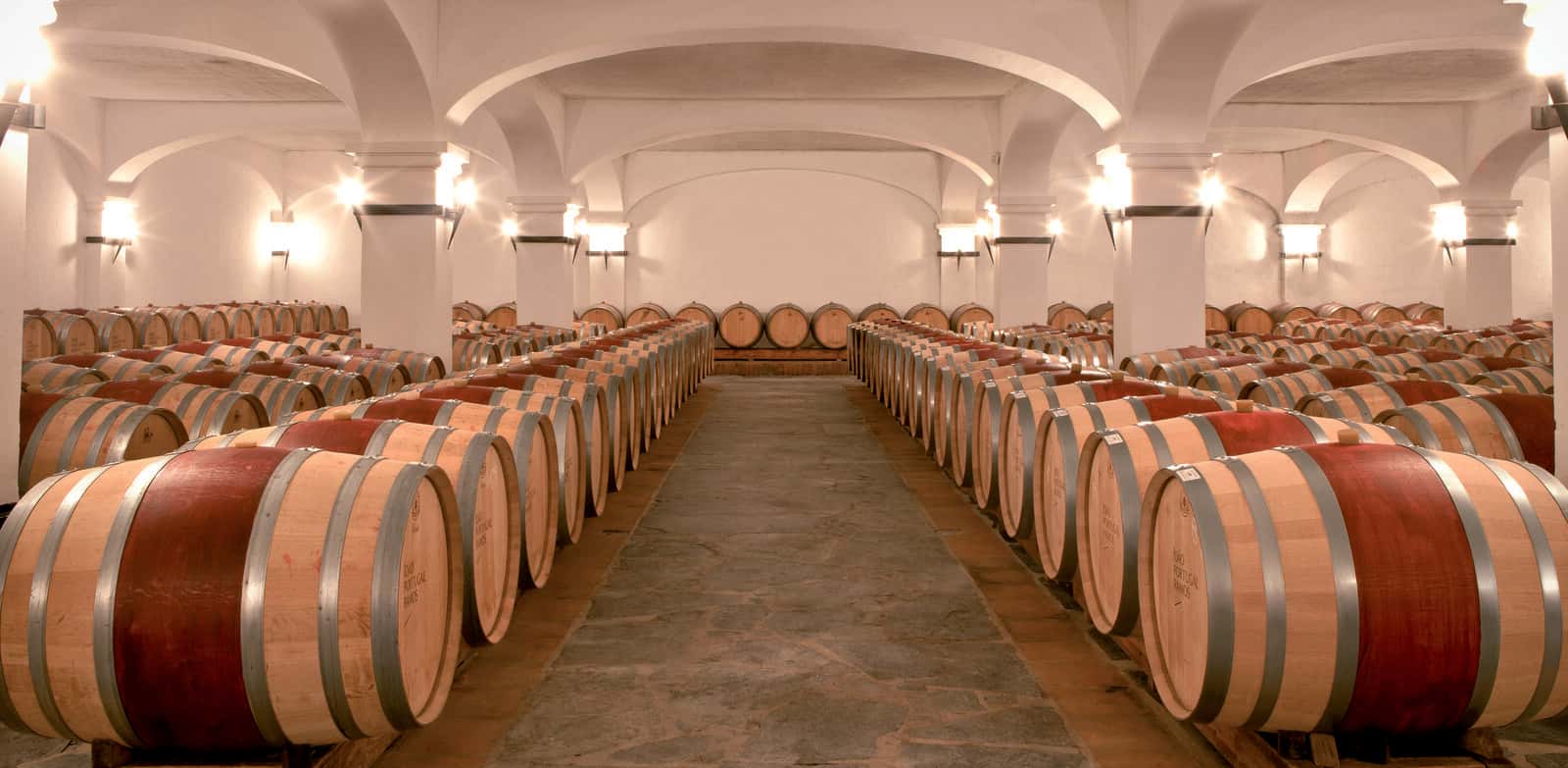 Premium vinprovning och rundtur på João Portugal Ramos