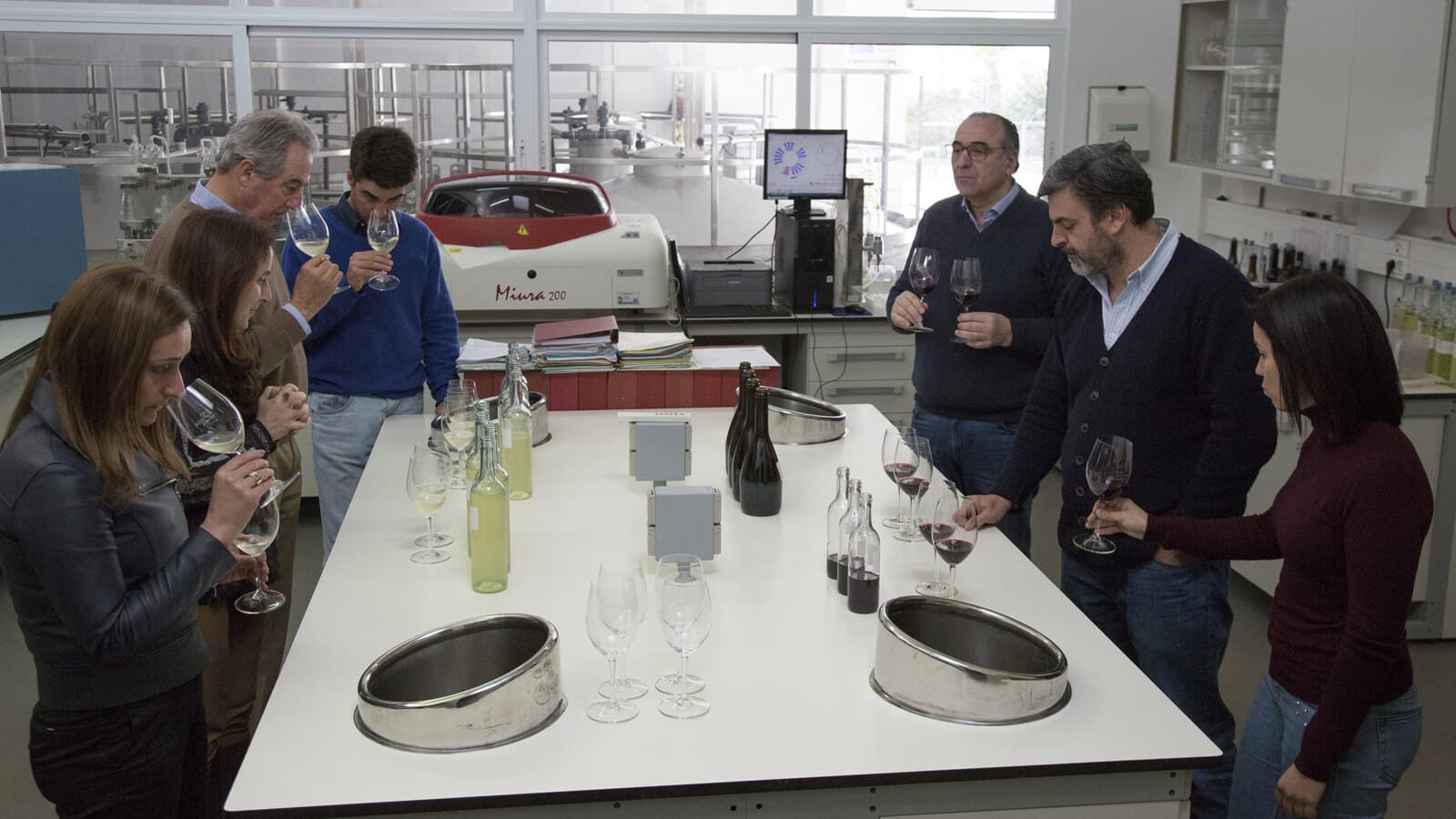 Premium vinprovning och rundtur på João Portugal Ramos