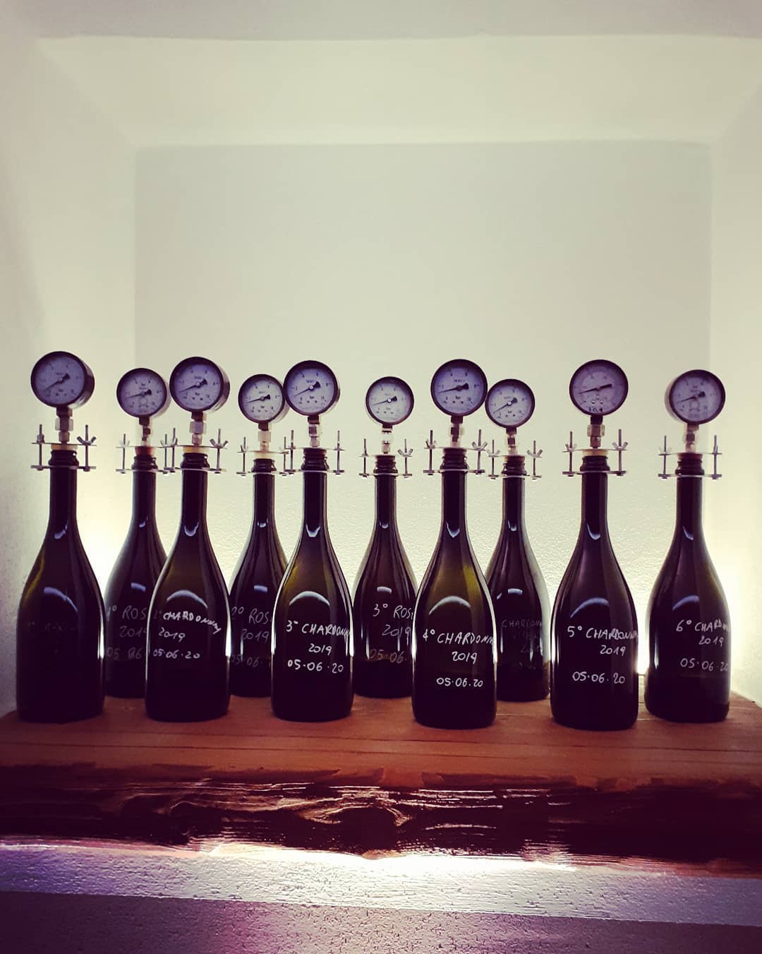 Vinprovning på Zanotelli Winery