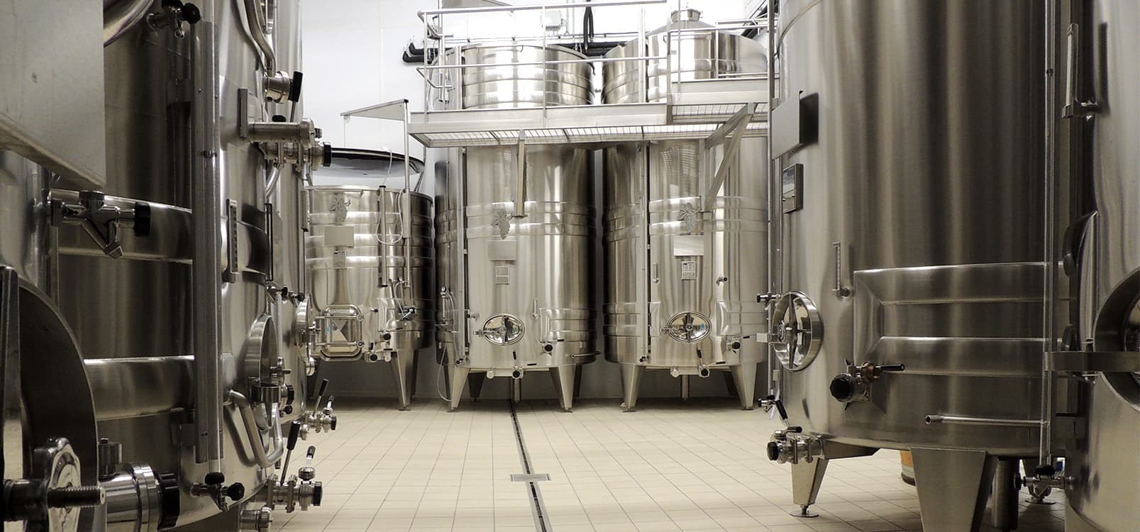 Burgundy Wine Journey at Domaine Notton