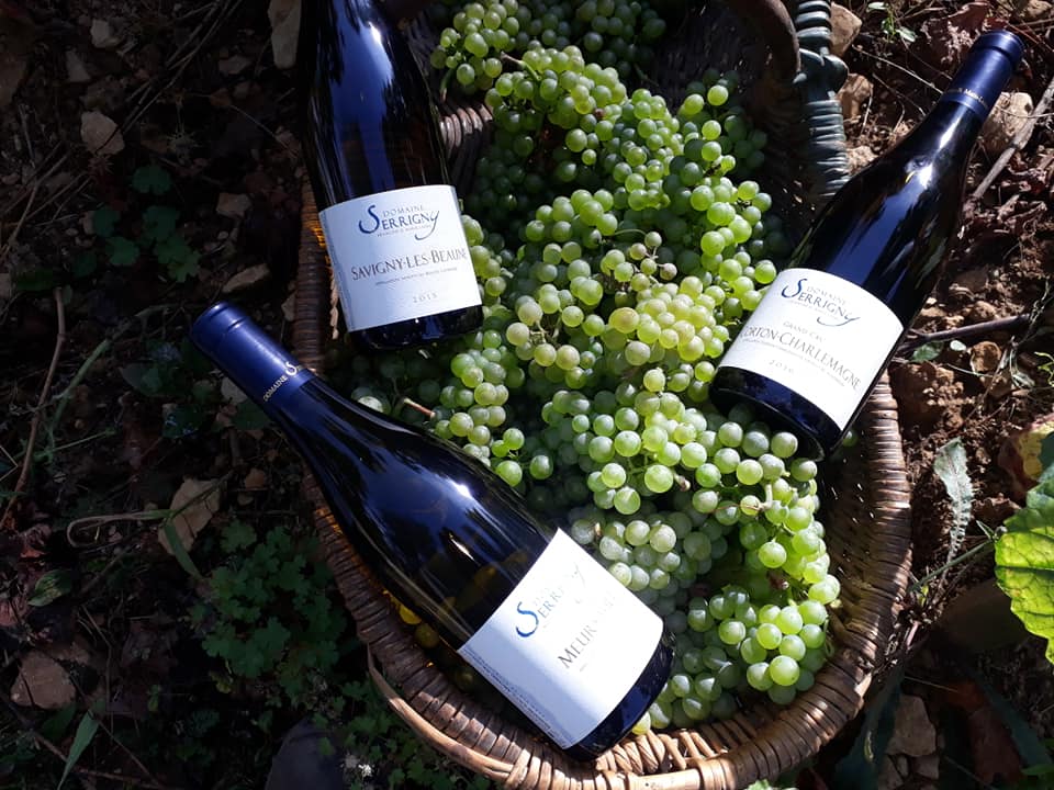 Wine Tasting and Tour at Domaine Serrigny Francine & Marie-Laure