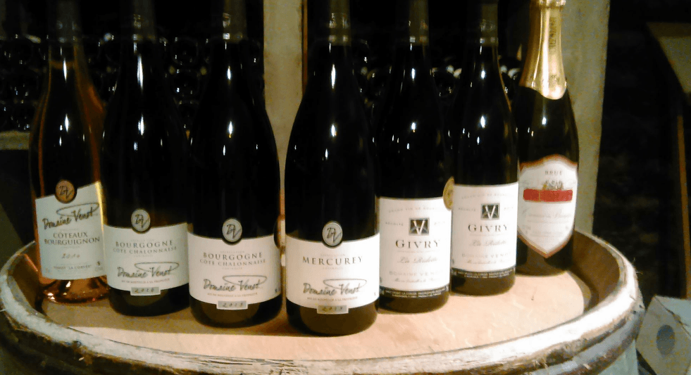 Wine Tasting and Tour at Gaec Venot