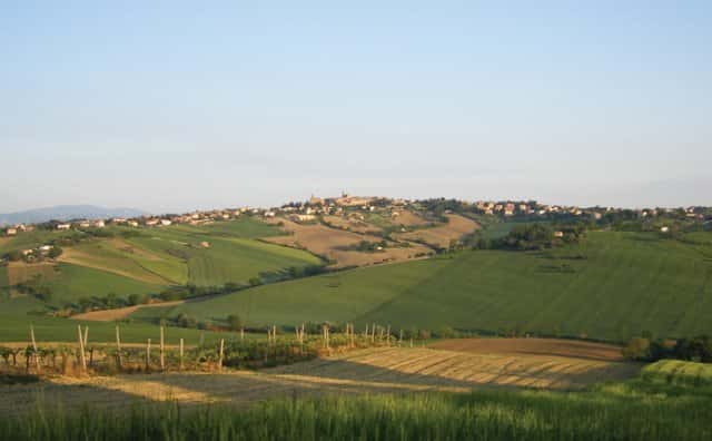 Ein erholsamer Tag zwischen Hügeln, Weinen und lokalen Aromen im Tenuta San Marcello