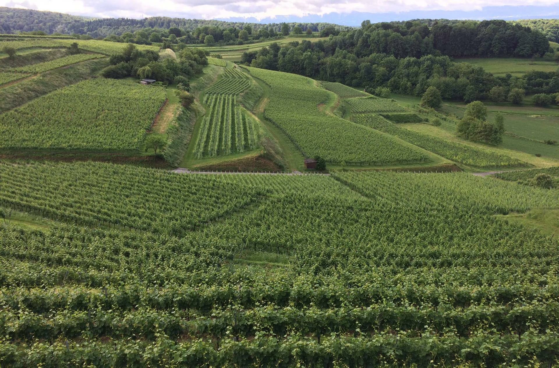 Weinmanufaktur Mario Josef Burkhart foto 4