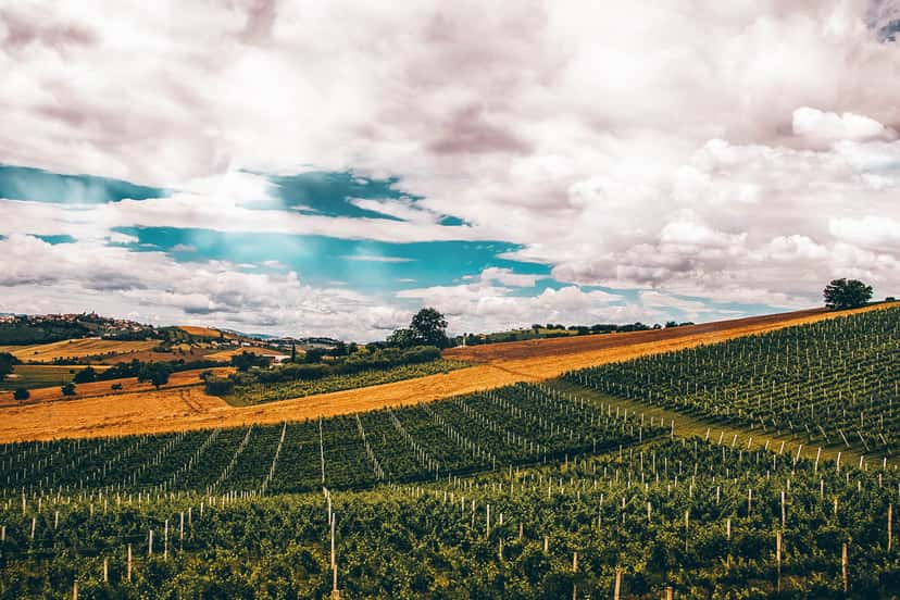 Cantina Bastianelli