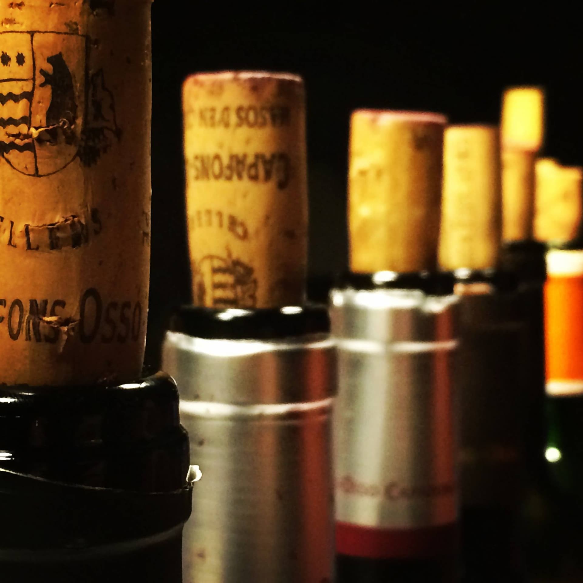 Wine Tasting and Tour at Celler Cooperatiu Gandesa