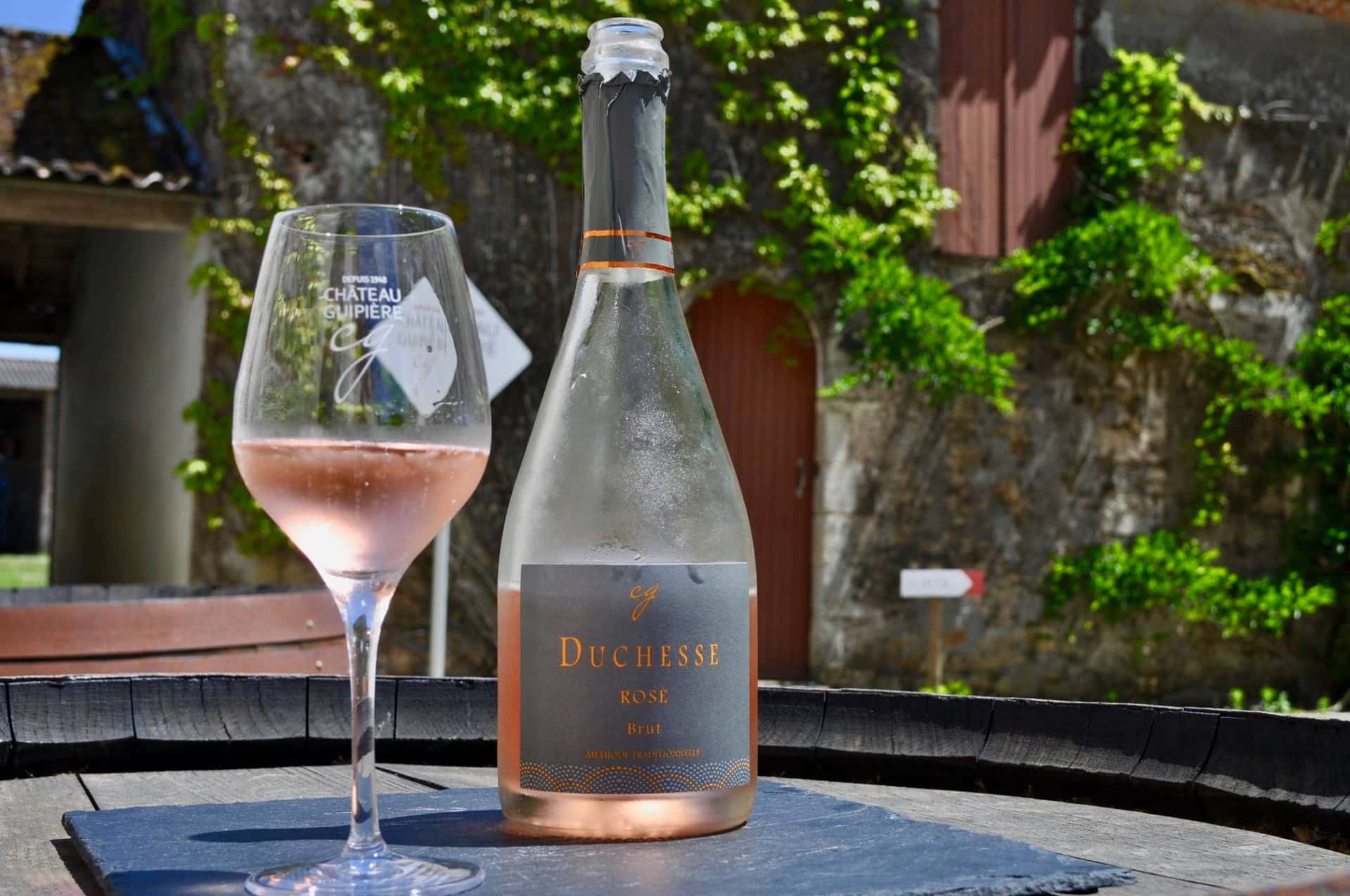 Degustazione di vini e tour allo Château Guipière