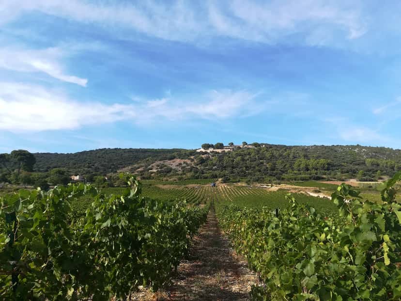 Domaine l'Aiguelière