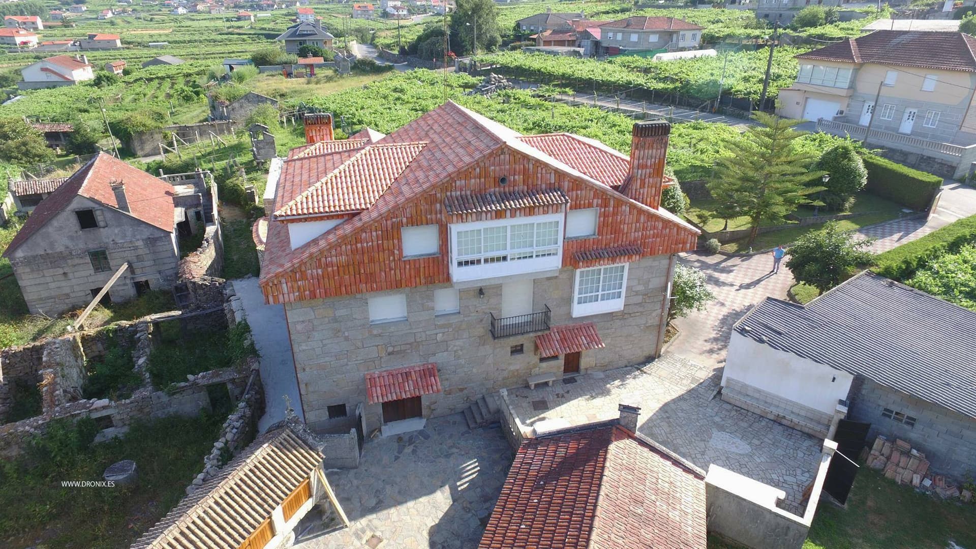 Anadigna Winery foto 2