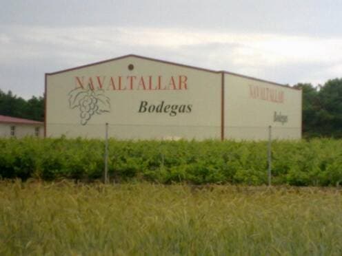 Bodegas Navaltallar foto 3