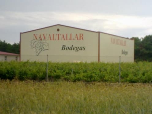 Bodegas Navaltallar foto 2