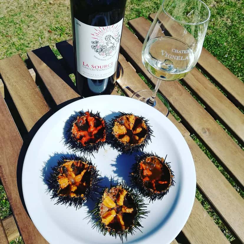 Degustação de vinhos e galeria de arte do Chateau Vignelaure