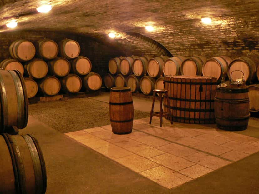 Wine Tasting and Tour at Domaine De La Galopiere