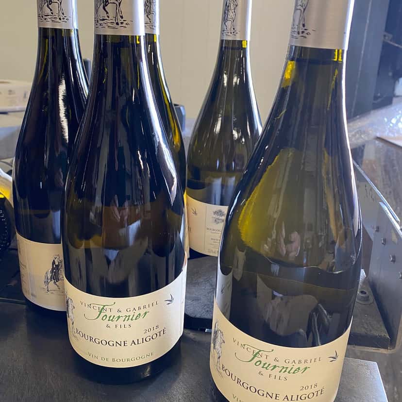 Premium Wine Tasting at Domaine De La Galopiere