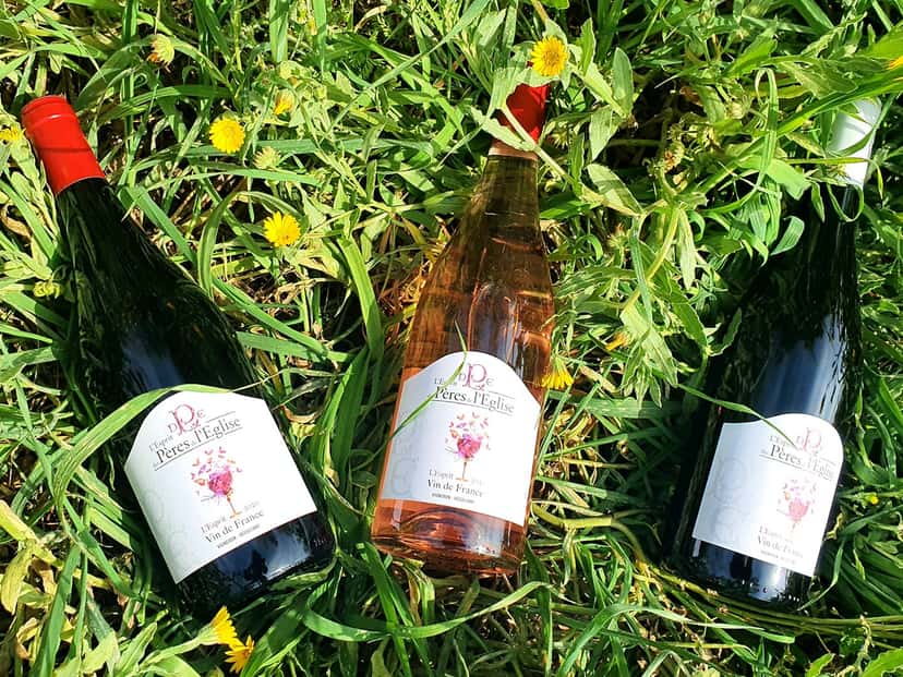 Wine Tasting and Tour at Domaine Des Pères De L'Eglise